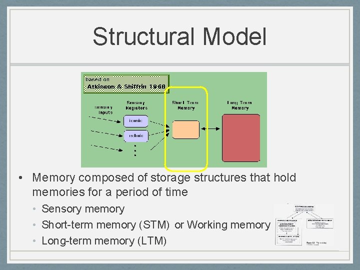 Structural Model • Memory composed of storage structures that hold memories for a period