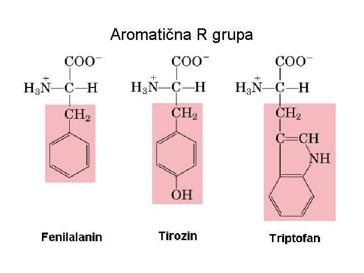 Aromatična R grupa 