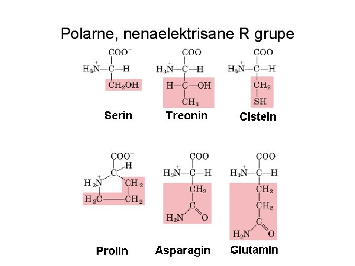 Polarne, nenaelektrisane R grupe 