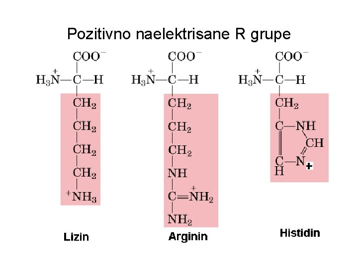 Pozitivno naelektrisane R grupe 