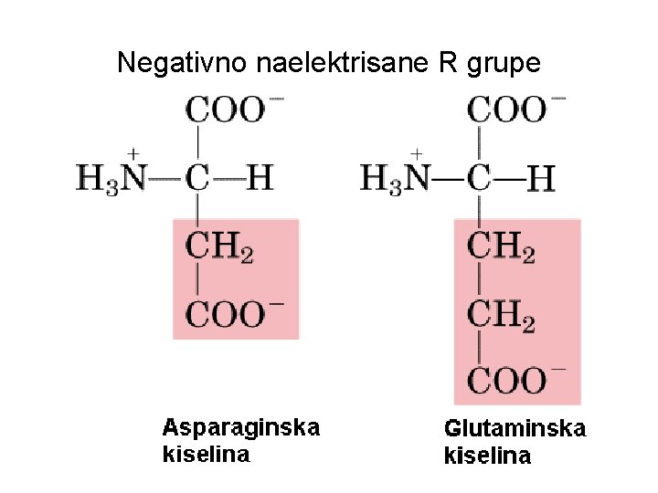Negativno naelektrisane R grupe 