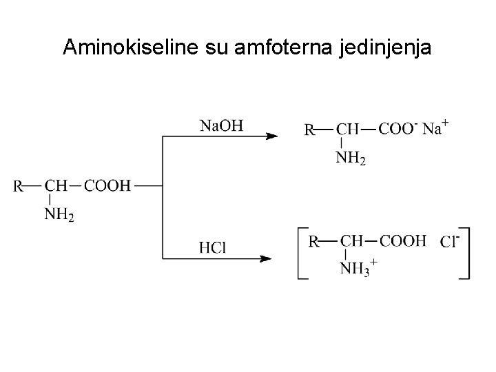 Aminokiseline su amfoterna jedinjenja 