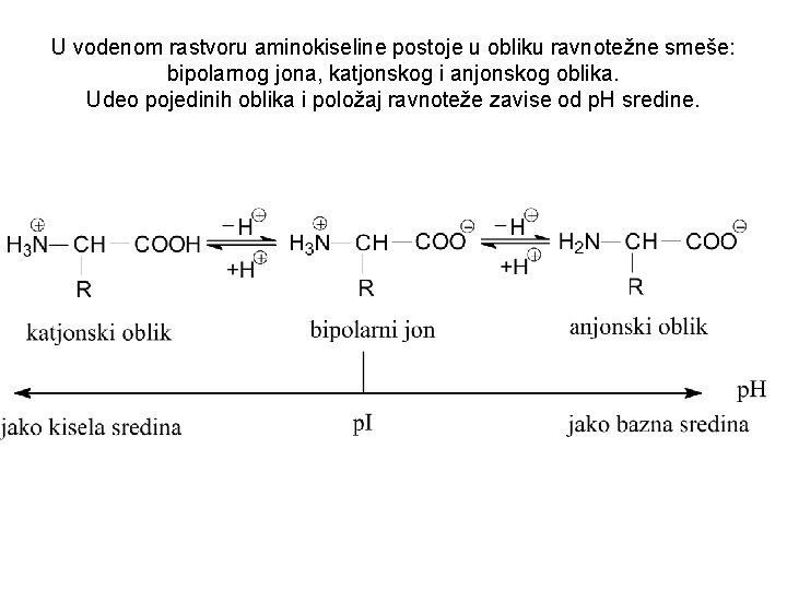 U vodenom rastvoru aminokiseline postoje u obliku ravnotežne smeše: bipolarnog jona, katjonskog i anjonskog