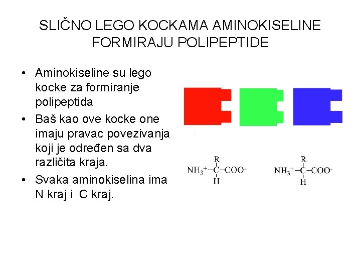 SLIČNO LEGO KOCKAMA AMINOKISELINE FORMIRAJU POLIPEPTIDE • Aminokiseline su lego kocke za formiranje polipeptida