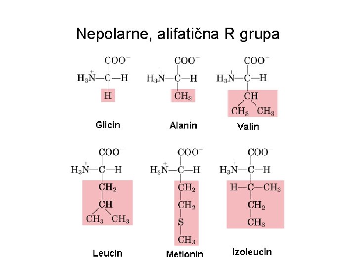 Nepolarne, alifatična R grupa 