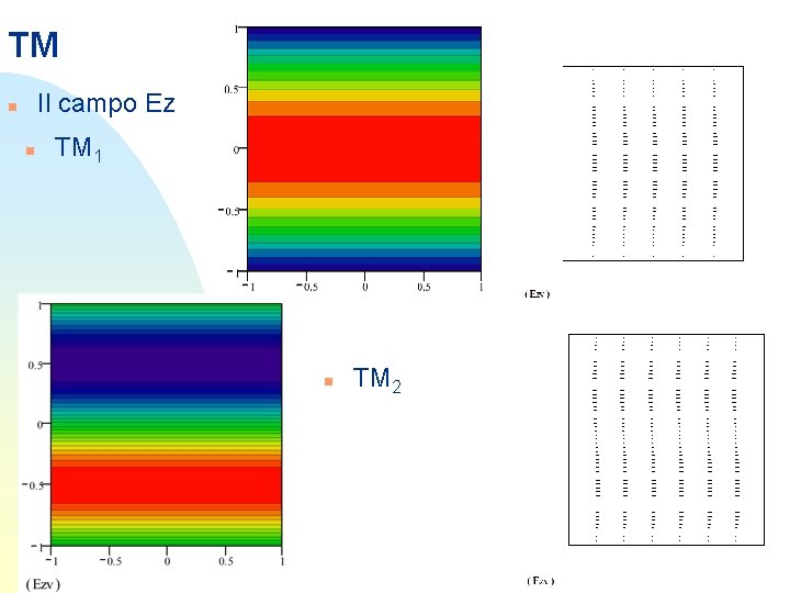 TM Il campo Ez n n TM 1 n TM 2 