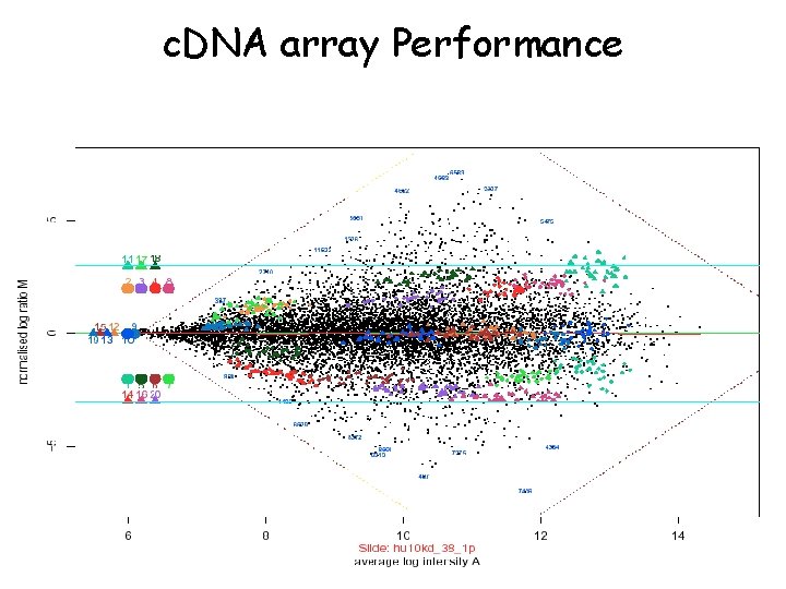 c. DNA array Performance 