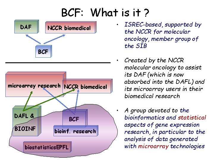 BCF: What is it ? DAF NCCR biomedical BCF microarray research NCCR biomedical DAFL