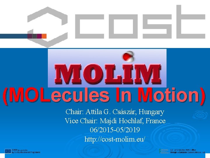 MOLIM (MOLecules In Motion) Chair: Attila G. Császár, Hungary Vice Chair: Majdi Hochlaf, France