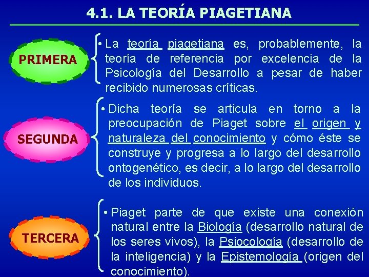 4. 1. LA TEORÍA PIAGETIANA PRIMERA SEGUNDA TERCERA • La teoría piagetiana es, probablemente,