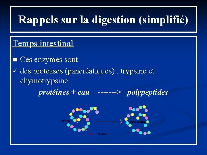 Rappels sur la digestion (simplifié) Temps intestinal Ces enzymes sont : ü des protéases Rappels sur la digestion (simplifié) Temps intestinal Ces enzymes sont : ü des protéases