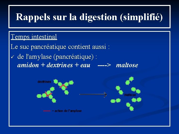 Rappels sur la digestion (simplifié) Temps intestinal Le suc pancréatique contient aussi : ü