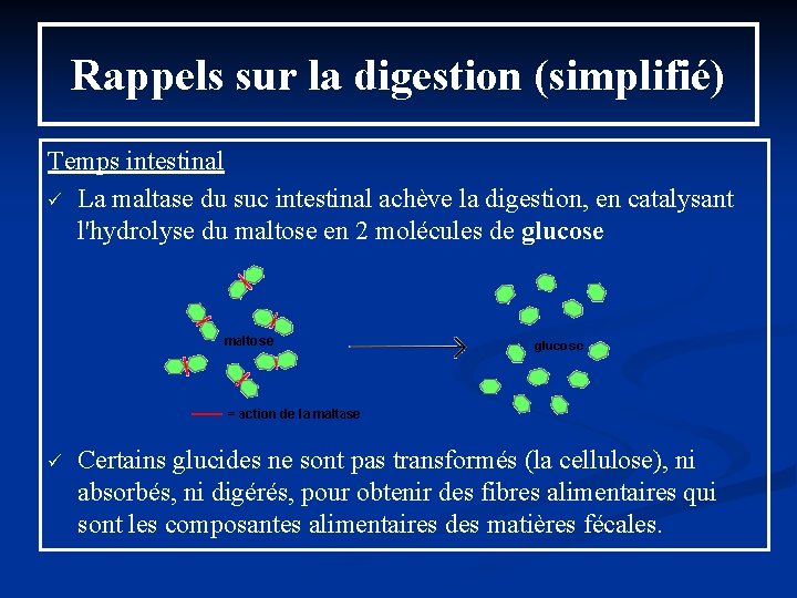 Rappels sur la digestion (simplifié) Temps intestinal ü La maltase du suc intestinal achève Rappels sur la digestion (simplifié) Temps intestinal ü La maltase du suc intestinal achève