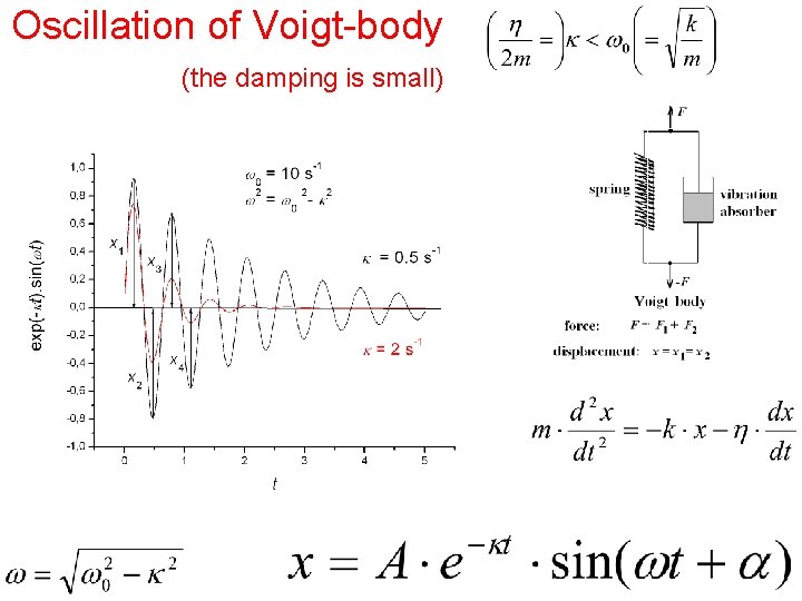Oscillation of Voigt-body (the damping is small) 