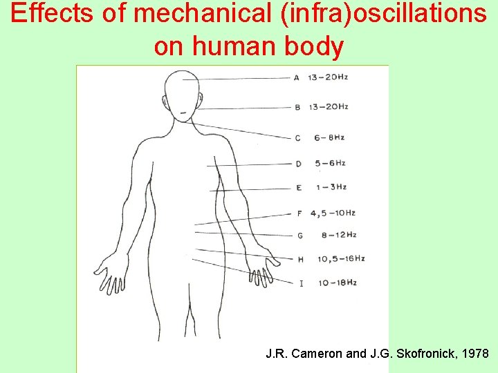 Effects of mechanical (infra)oscillations on human body J. R. Cameron and J. G. Skofronick,
