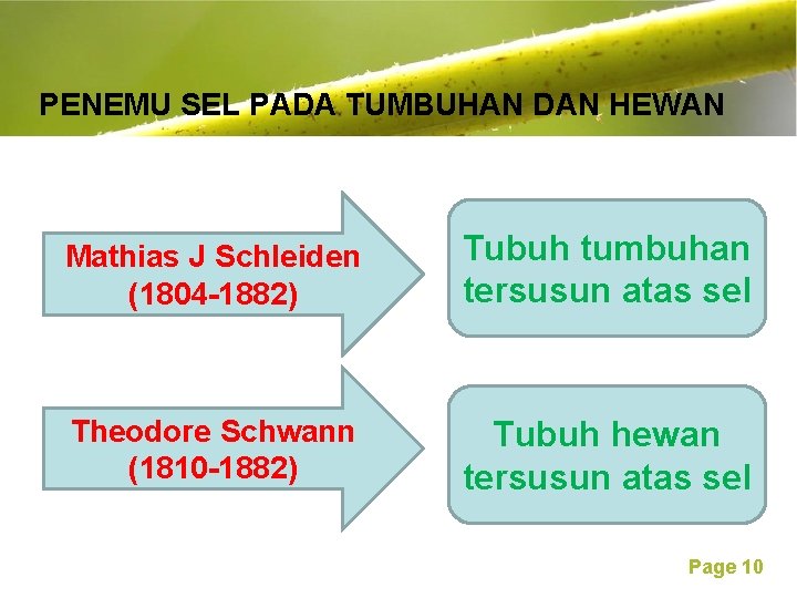 Free Powerpoint Templates PENEMU SEL PADA TUMBUHAN DAN HEWAN Mathias J Schleiden (1804 -1882)