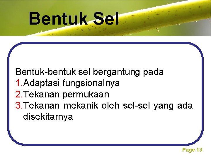 Bentuk Sel Free Powerpoint Templates Bentuk-bentuk sel bergantung pada 1. Adaptasi fungsionalnya 2. Tekanan