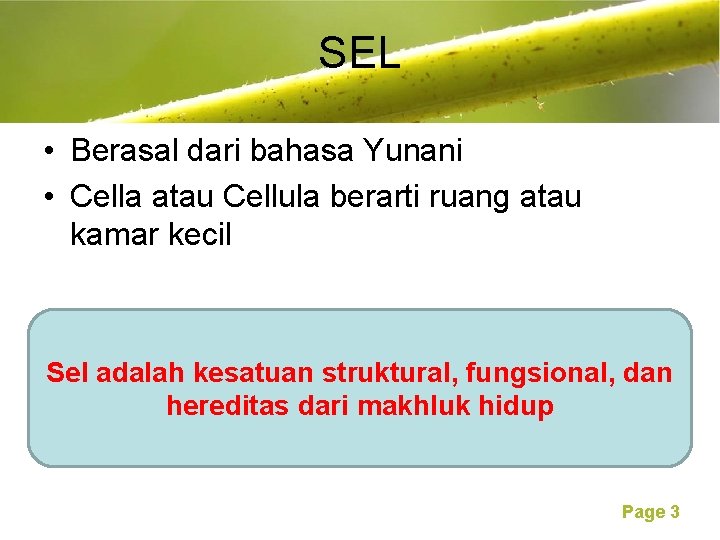 SEL Free Powerpoint Templates • Berasal dari bahasa Yunani • Cella atau Cellula berarti