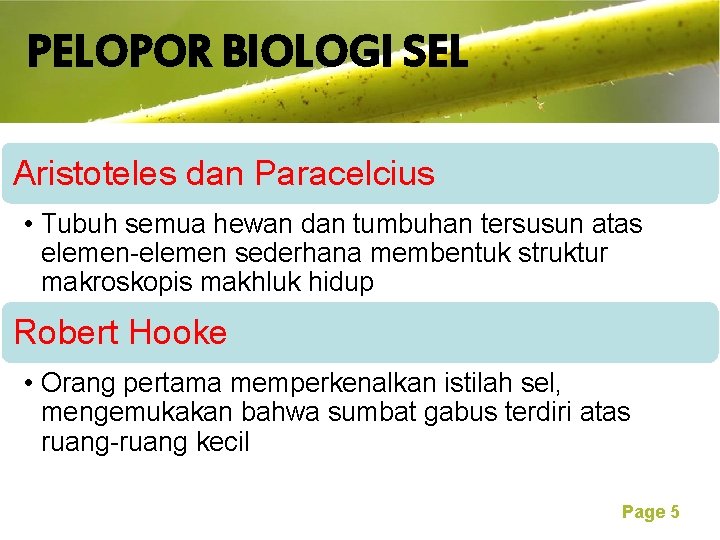 PELOPOR BIOLOGI SEL Free Powerpoint Templates Aristoteles dan Paracelcius • Tubuh semua hewan dan