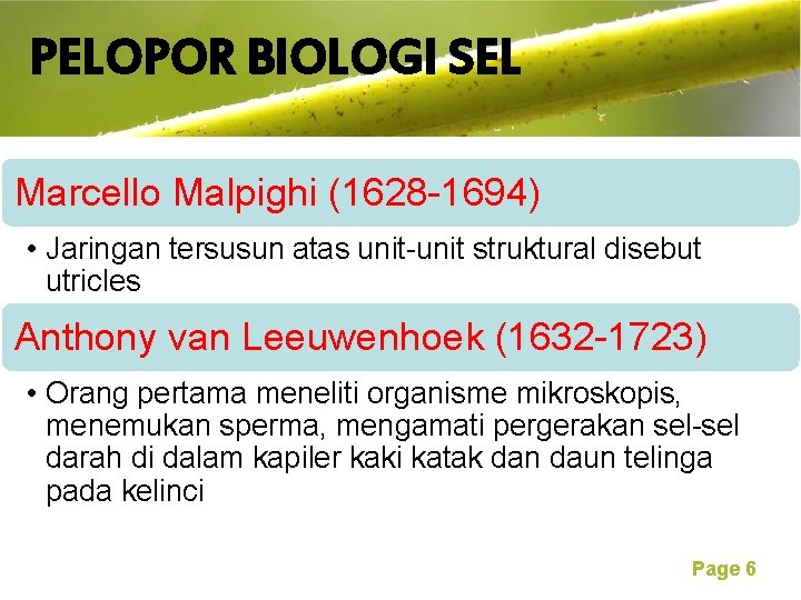 PELOPOR BIOLOGI SEL Free Powerpoint Templates Marcello Malpighi (1628 -1694) • Jaringan tersusun atas