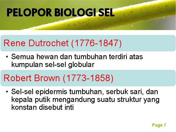 PELOPOR BIOLOGI SEL Free Powerpoint Templates Rene Dutrochet (1776 -1847) • Semua hewan dan