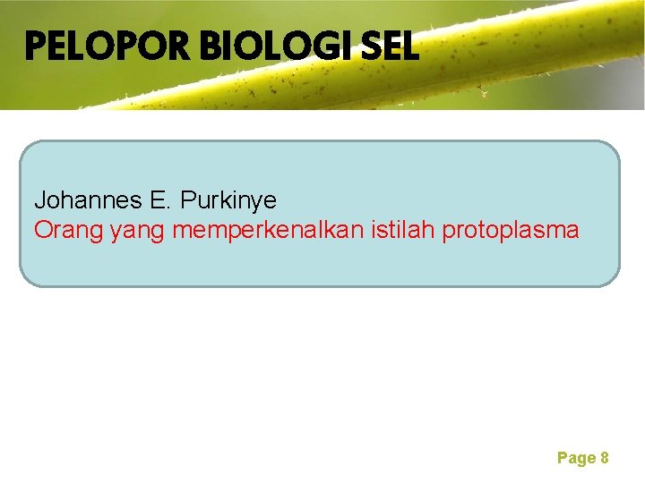 PELOPOR BIOLOGI SEL Free Powerpoint Templates Johannes E. Purkinye Orang yang memperkenalkan istilah protoplasma