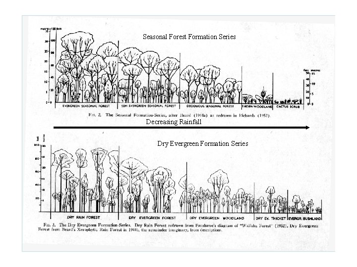 Seasonal Forest Formation Series Decreasing Rainfall Dry Evergreen Formation Series 