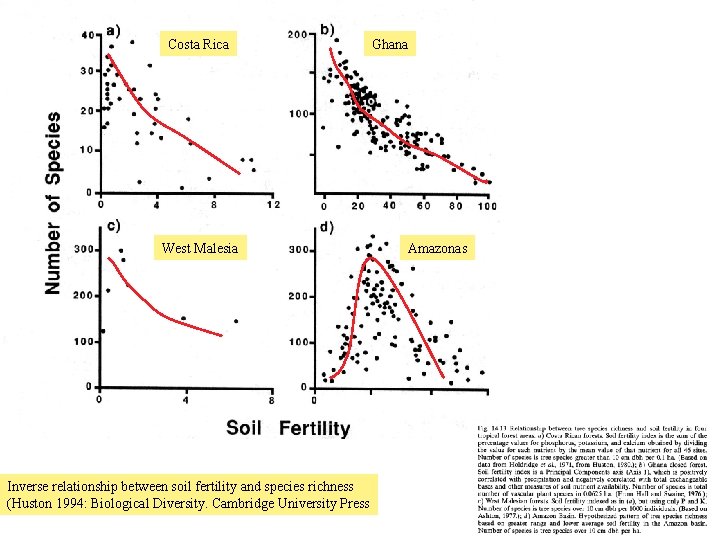 Costa Rica West Malesia Inverse relationship between soil fertility and species richness (Huston 1994:
