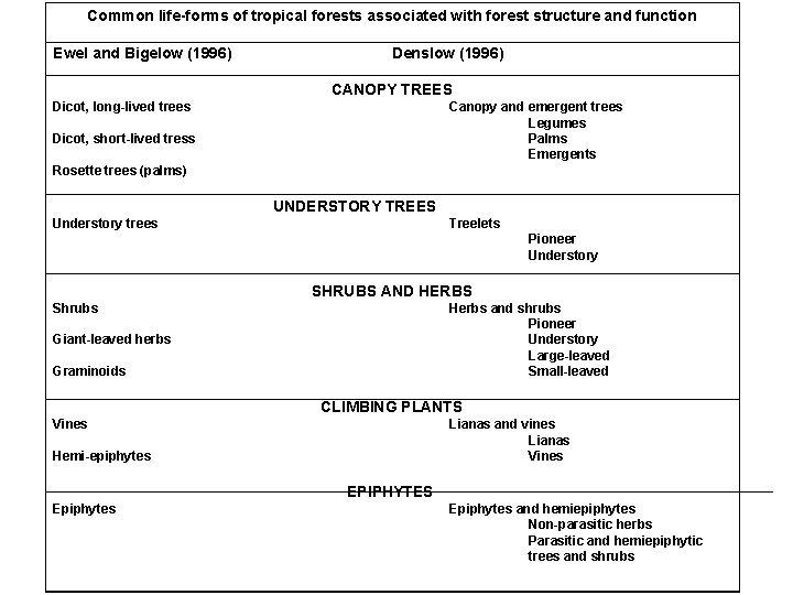 Common life-forms of tropical forests associated with forest structure and function Ewel and Bigelow