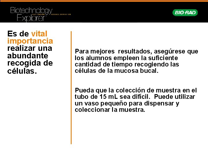 Es de vital importancia realizar una abundante recogida de células. Para mejores resultados, asegúrese