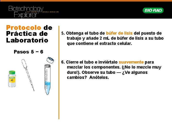 Protocolo de Práctica de Laboratorio 5. Obtenga el tubo de búfer de lisis del