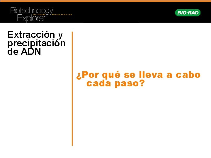 Extracción y precipitación de ADN ¿Por qué se lleva a cabo cada paso? 