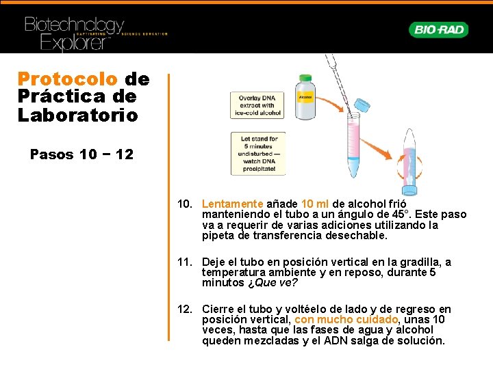 Protocolo de Práctica de Laboratorio Pasos 10 − 12 10. Lentamente añade 10 ml