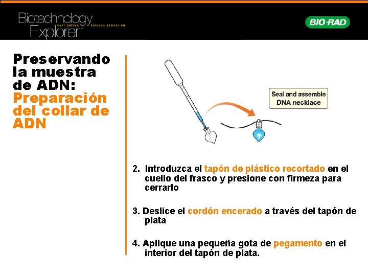 Preservando la muestra de ADN: Preparación del collar de ADN 2. Introduzca el tapón