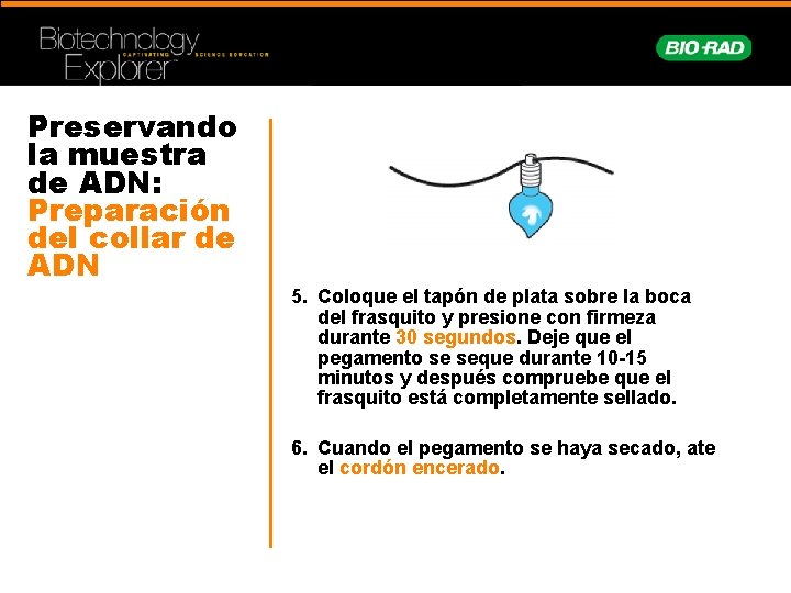 Preservando la muestra de ADN: Preparación del collar de ADN 5. Coloque el tapón