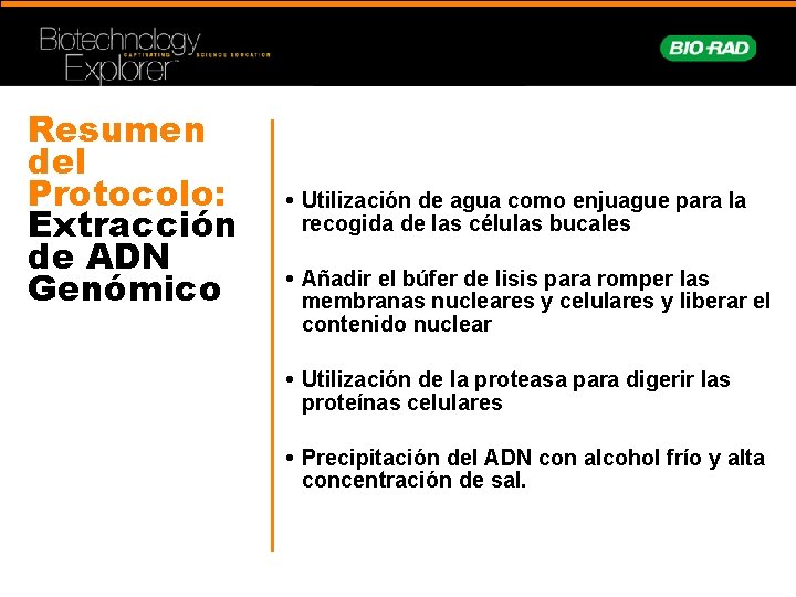 Resumen del Protocolo: Extracción de ADN Genómico • Utilización de agua como enjuague para