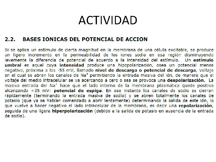 ACTIVIDAD 