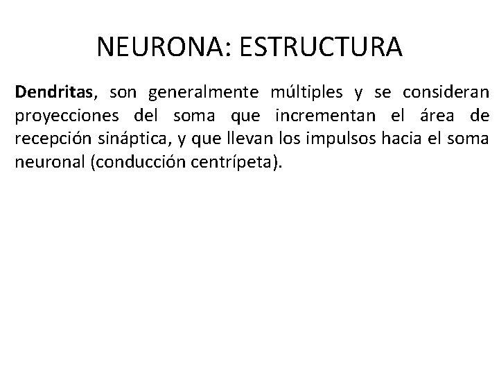 NEURONA: ESTRUCTURA Dendritas, son generalmente múltiples y se consideran proyecciones del soma que incrementan