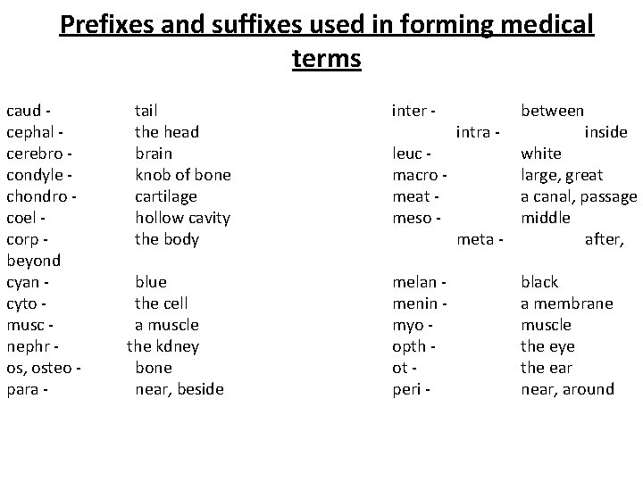 Prefixes and suffixes used in forming medical terms caud cephal cerebro condyle chondro coel