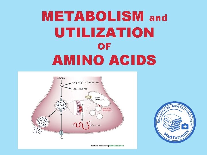 METABOLISM and UTILIZATION OF AMINO ACIDS 