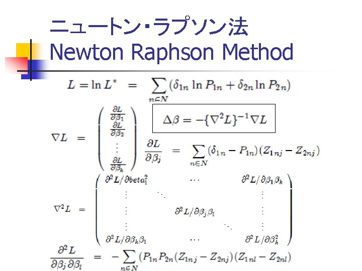 ニュートン・ラプソン法 Newton Raphson Method 