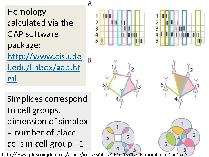 Homology calculated via the GAP software package: http: //www. cis. ude l. edu/linbox/gap. ht