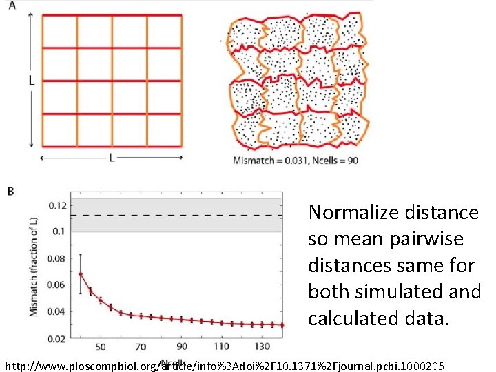 Normalize distance so mean pairwise distances same for both simulated and calculated data. http: