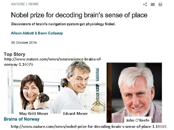 http: //www. nature. com/news/neuroscience-brains-ofnorway-1. 16079 May-Britt Moser Edvard Moser John O’Keefe http: //www. nature.