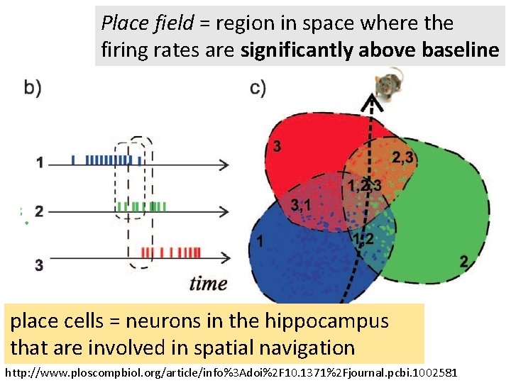 Place field = region in space where the firing rates are significantly above baseline