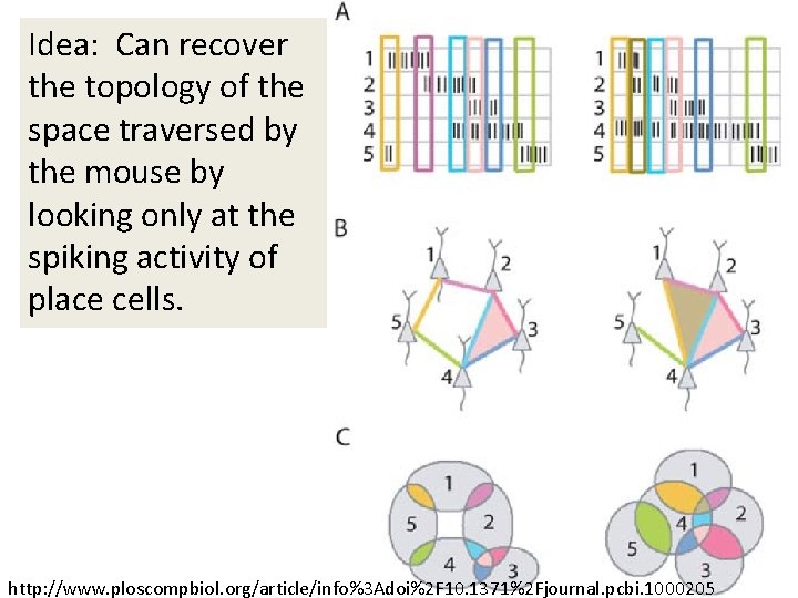 Idea: Can recover the topology of the space traversed by the mouse by looking