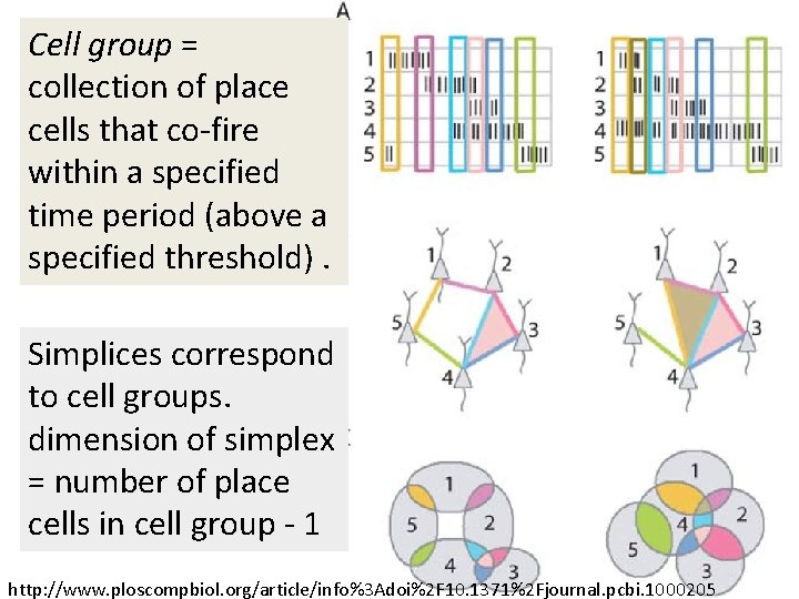 Cell group = collection of place cells that co-fire within a specified time period