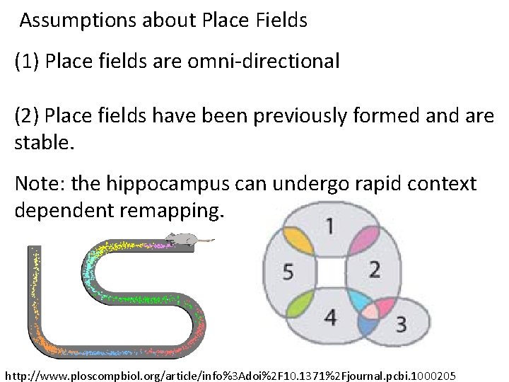 Assumptions about Place Fields (1) Place fields are omni-directional (2) Place fields have been