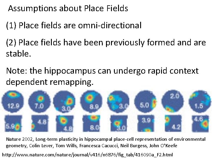 Assumptions about Place Fields (1) Place fields are omni-directional (2) Place fields have been