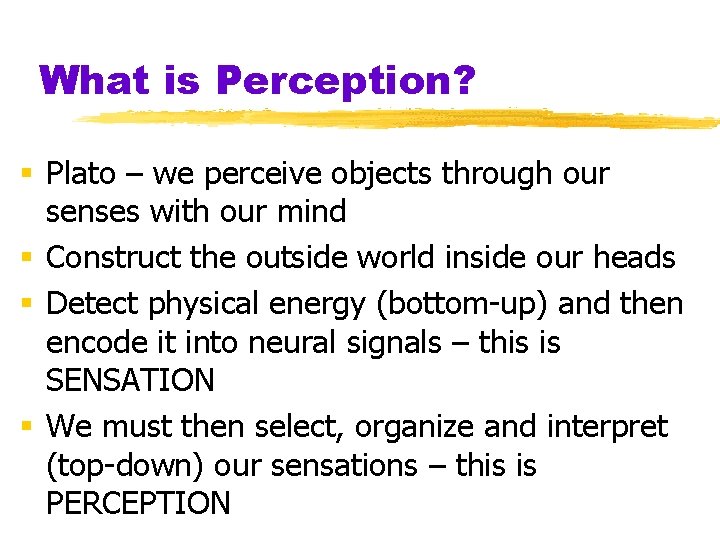 What is Perception? § Plato – we perceive objects through our senses with our